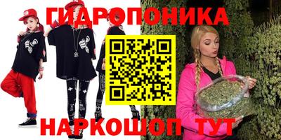 гидропоника Камень-на-Оби
