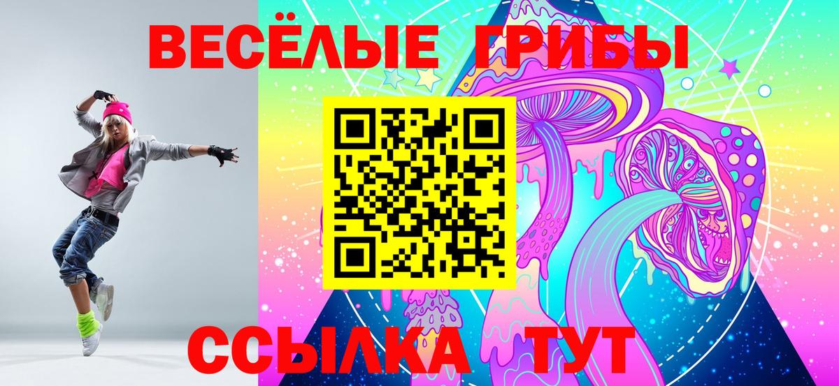 закладки  Вход с VPN  Назрань  Галлюциногенные грибы Psilocybe 
