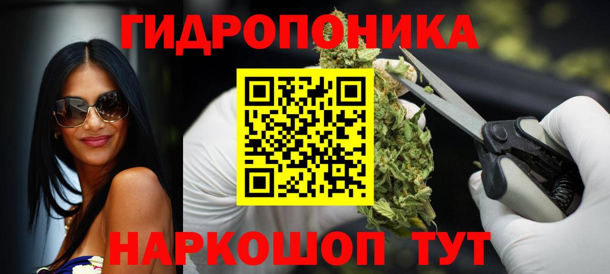 Бошки Шишки план  Бошки марихуана семена  Бошки Шишки семена  Назрань  Вход с VPN 